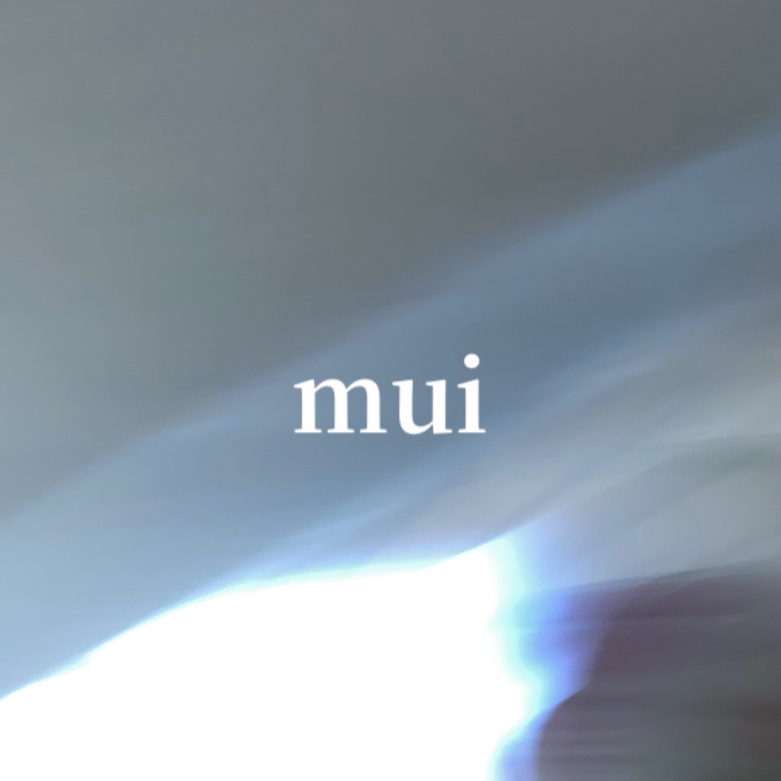 mui 沖縄オリジナルアパレル
